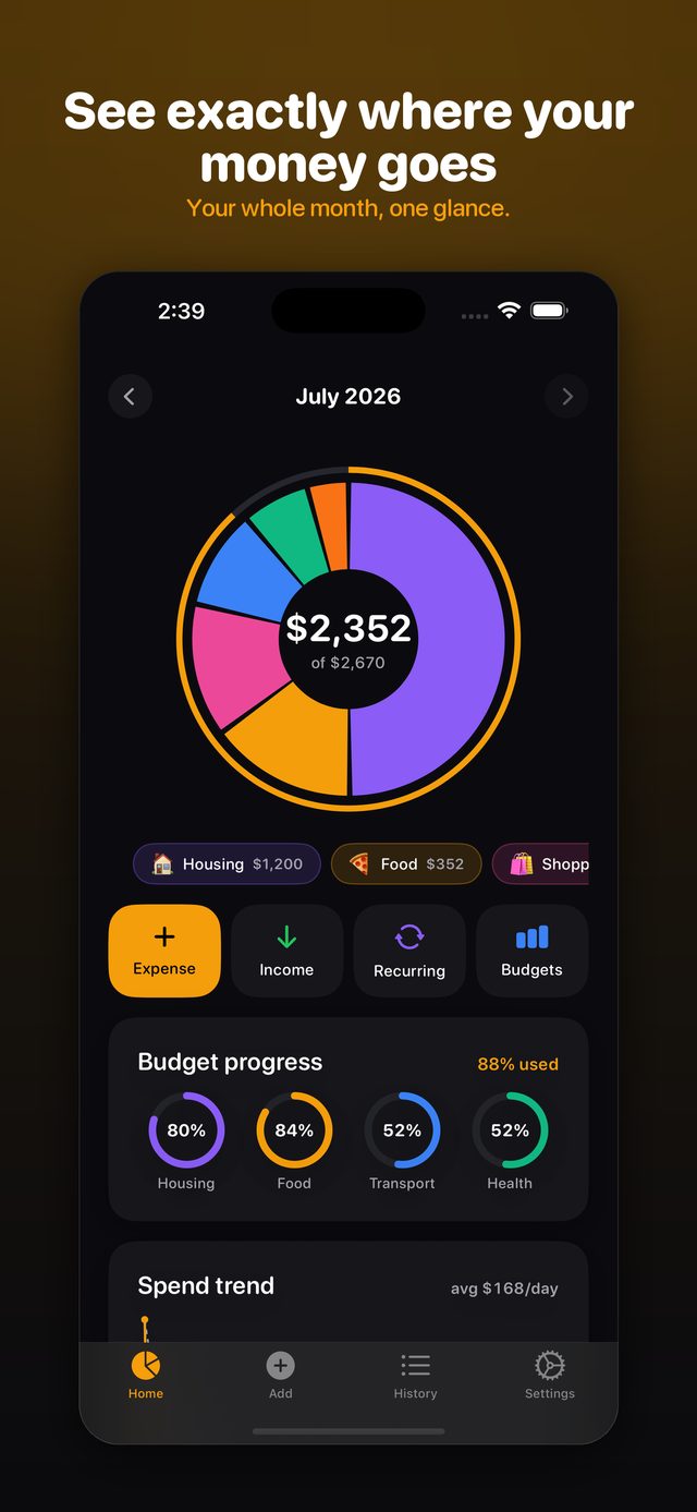 The Spending Wheel — a month of spending as coloured arcs